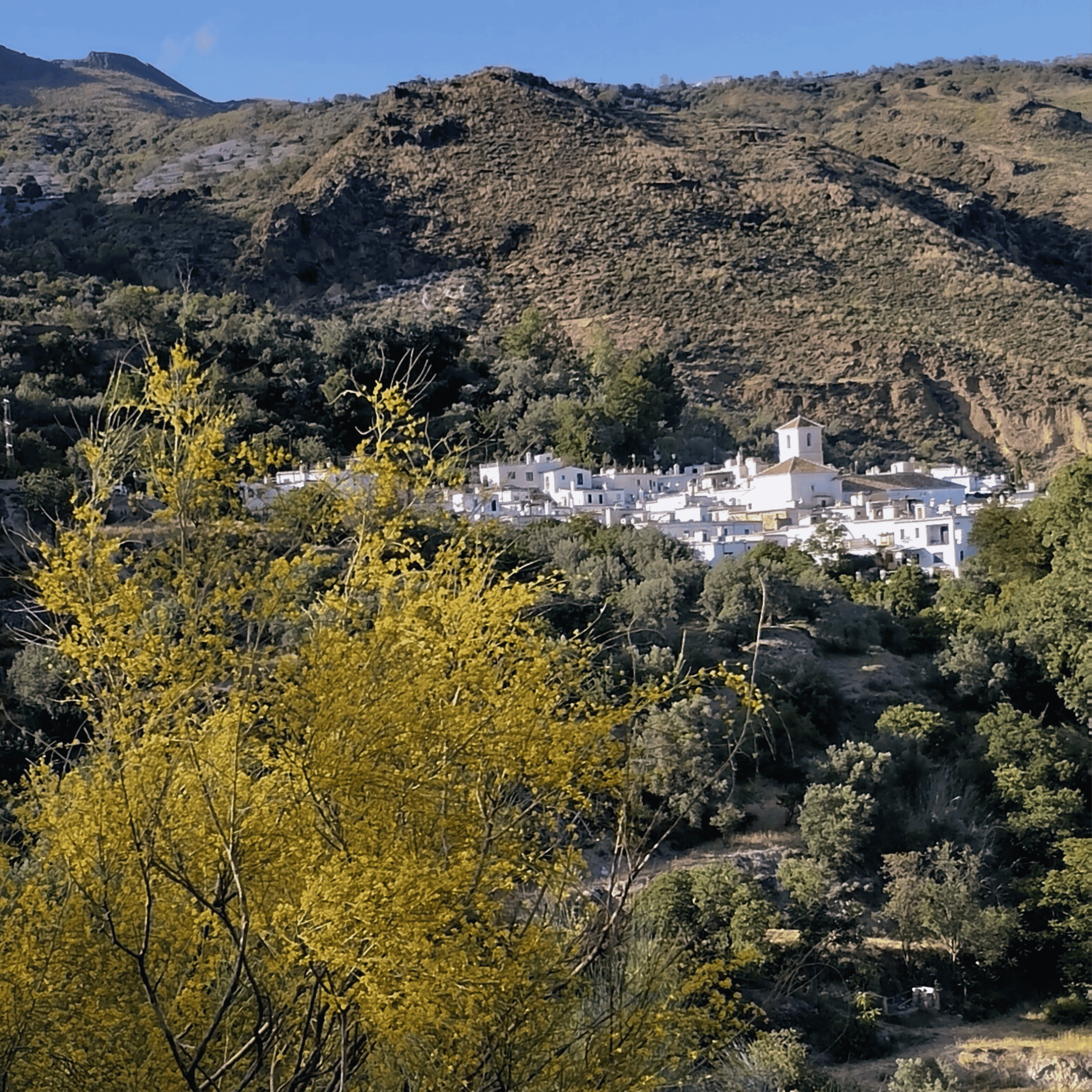 pueblos de la alpujarra con tradicion vinicola pueblos-alpujarreños-con-tradicion-y-vino