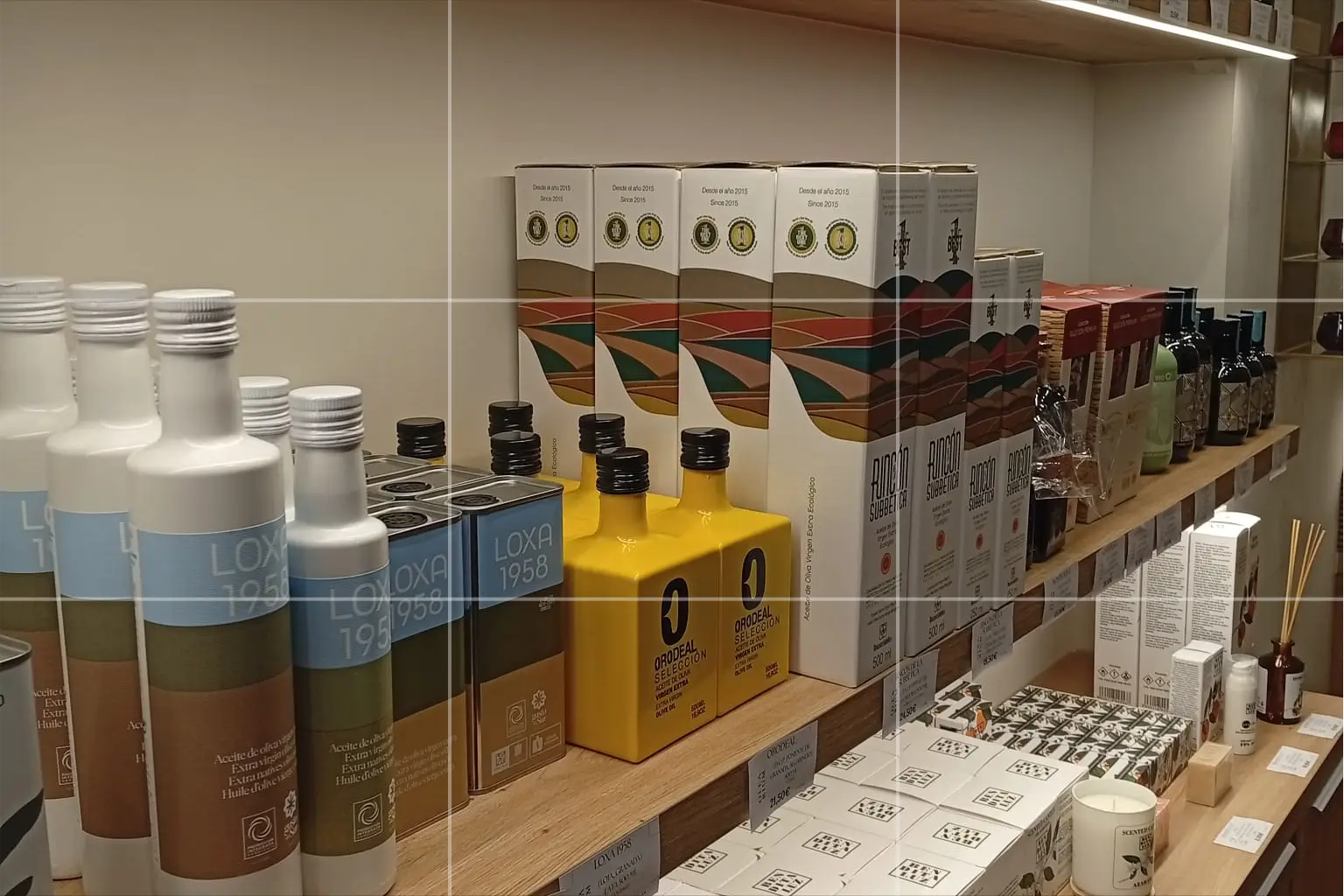 You are currently viewing Dónde hacer una cata de aceite en Granada: lo que nadie te cuenta