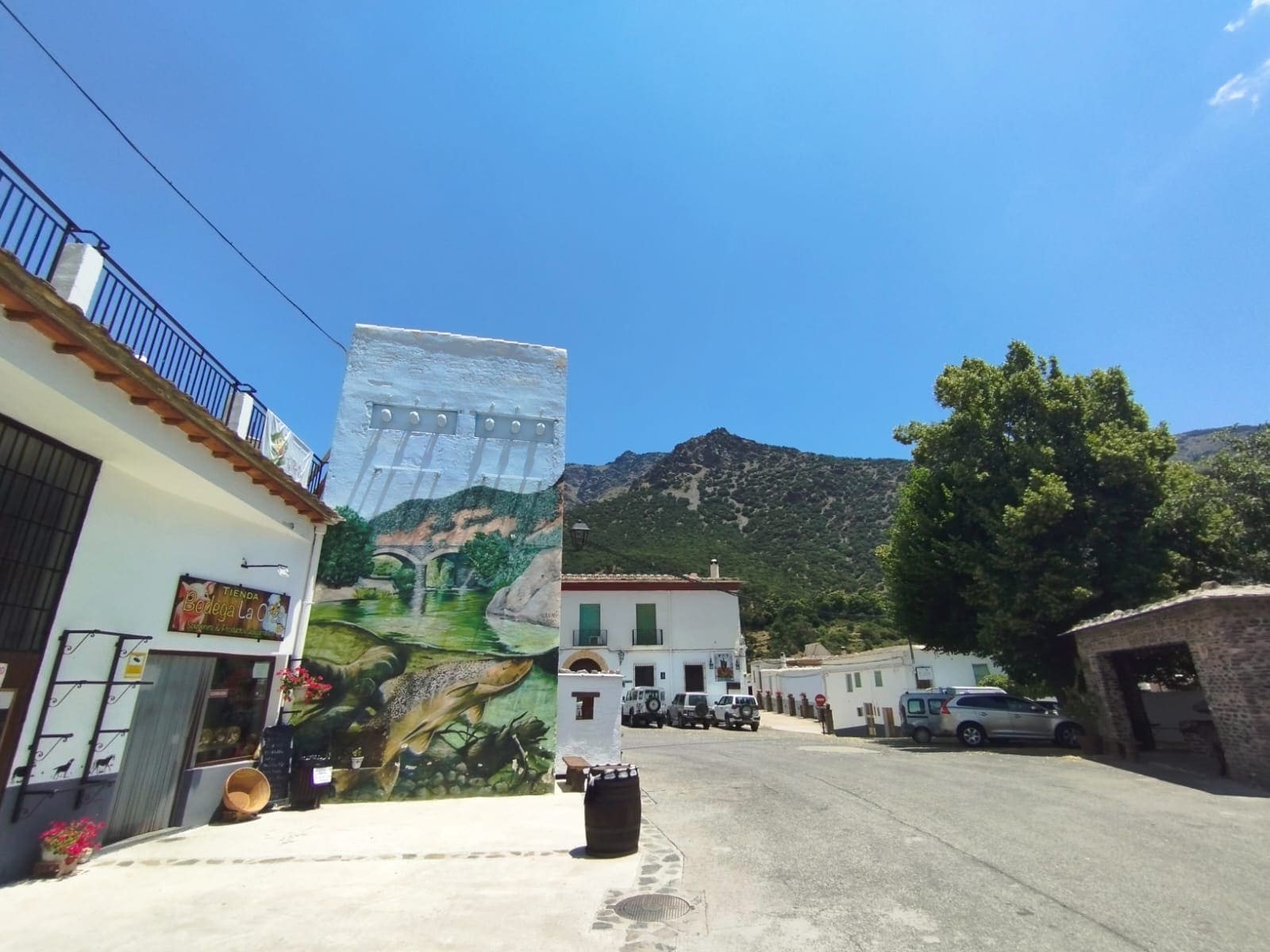 You are currently viewing Vino, Paisajes y Pueblos Blancos: Saboreando la Alpujarra